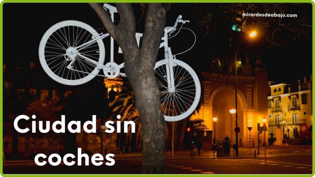 Imagen bici en árbol en Sevilla