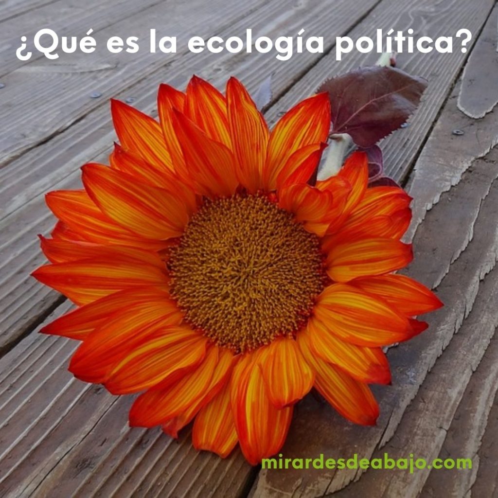 Imagen flor y pregunta que es la ecologia politica