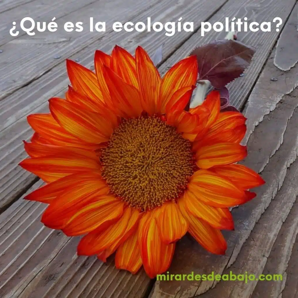 Ecología política: El nuevo paradigma del Siglo XXI ¿Por qué es importante el ecologismo político? ¿Cuál es la importancia de la ecología? Vemos aquí, por los expertos, qué es la ecología política y su definición (vídeos incluidos) Y, desde mi punto de vista, son las políticas verdes las que nos pueden salvar del colapso social, ecológico, económico y político. ¿Y tú, cómo lo ves? Imagen flor y pregunta que es la ecologia politica