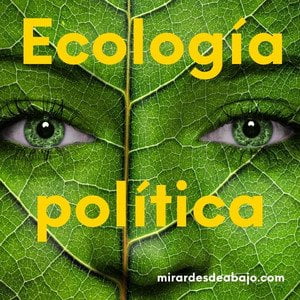 Imagen con uno ojos de una cara en color hoja de árbol y texto ecología política
