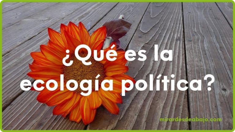 Foto con flor en el suelo y pregunta: ¿qué es la ecología politica?