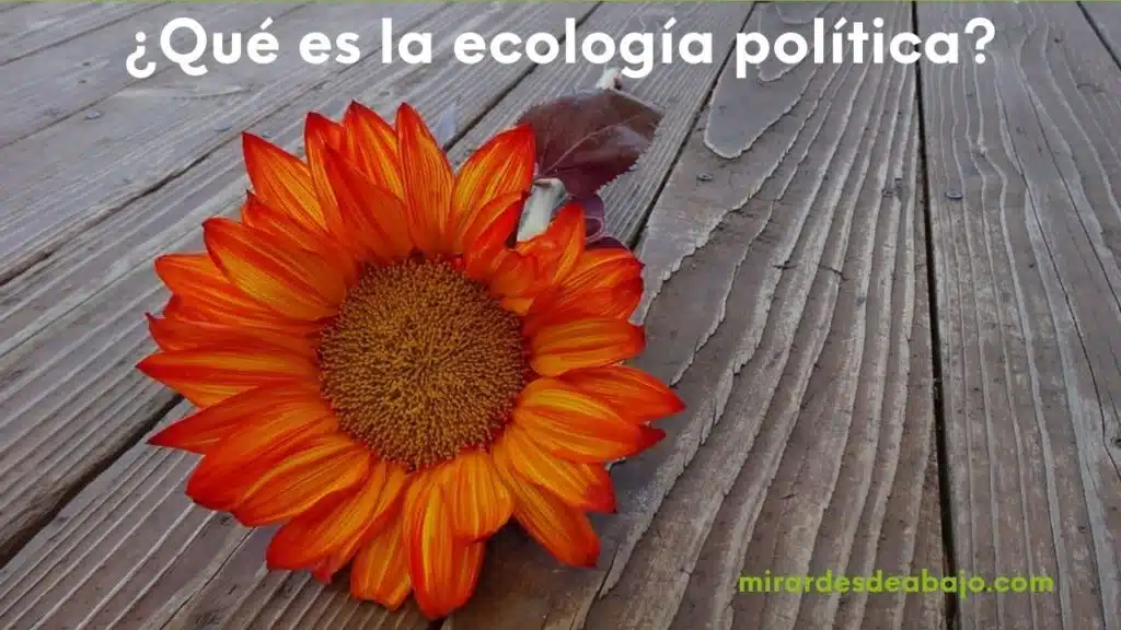 flor representando las políticas verdes ante la pregunta: ¿Qué es la ecología política? Imagen ¿qué es la ecología política? Con una flor representando las políticas verdes