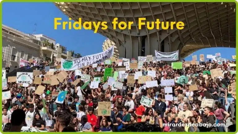 Imagen de portada del artículo: Fridays For Future: Me da vergüenza. Hashtag #fridaysforfuture