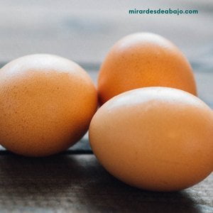 Foto de 3 huevos ecológicos