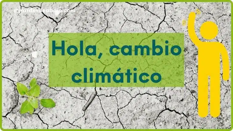 Imagen con desierto, una planta y texto: Hola, cambio climático