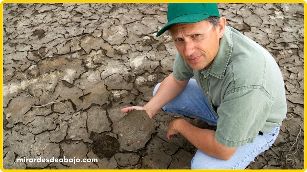 Foto de un hombre con un trozo de tierra seca por causa de la sequía.
