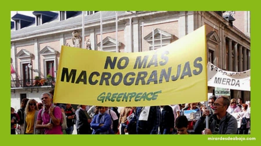 Greenpeace dice no a las macrogranjas. Foto de manifestación pública.