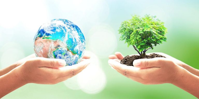 Imagen donde se ve en una mano la Tierra y sobre otra un árbol, simbolizando el Día Mundial del Medio Ambiente.