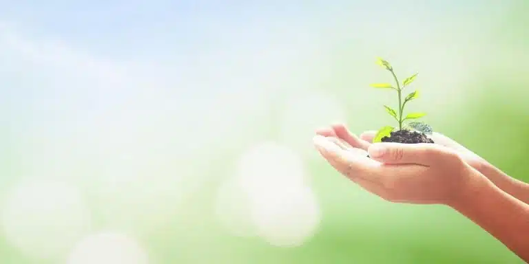 Foto de una mano y una planta con fondo verde y azul cielo.