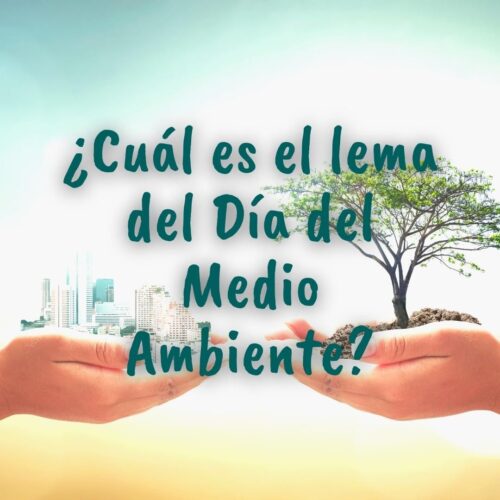 Día Mundial del Medio Ambiente 2023: "Sin contaminación por plásticos" ¿Qué es el Día Mundial del Medio Ambiente? ¿Cuándo se celebra? ¿Cómo y cuándo surgió la idea de celebrar este día? Y... ¿Cómo puedo celebrar este día tan importante? ¿Qué lema tiene el Día Mundial del medio ambiente este año? ¡Mira por aquí! Te lo cuento... Fotomontaje de una mano con un árbol sobre su palma, y otra con una ciudad, enfrentadas. En referencia a la pregunta que lleva sobre escrita: ¿Cuál es el lema del Día del Medio Ambiente?
