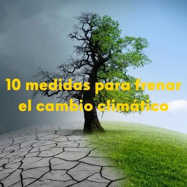 Frenar el cambio climático: ¿Cómo hacerlo posible? ¿Estás buscando reducir tu huella de carbono? ¿Eres de esas personas que les preocupa el calentamiento global? ¿Quieres pasar a la acción? ¿Quieres saber qué puedes hacer tú ante la crisis climática? Mira estas 10 formas de frenar el cambio climático. Foto de un árbol mitad seco y mitad verde con el siguiente texto sobre escrito: 10 medidas para frenar el cambio climático