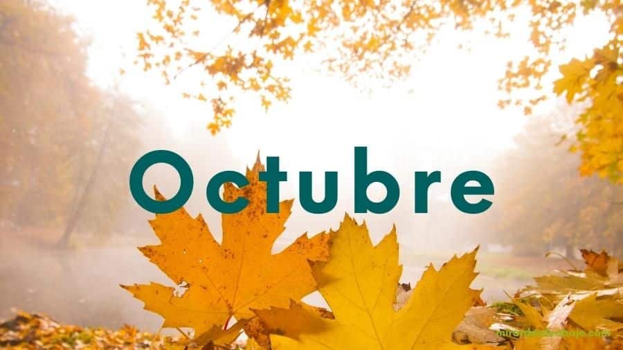 octubre Cambio climático 2022: Noticias e información relevante