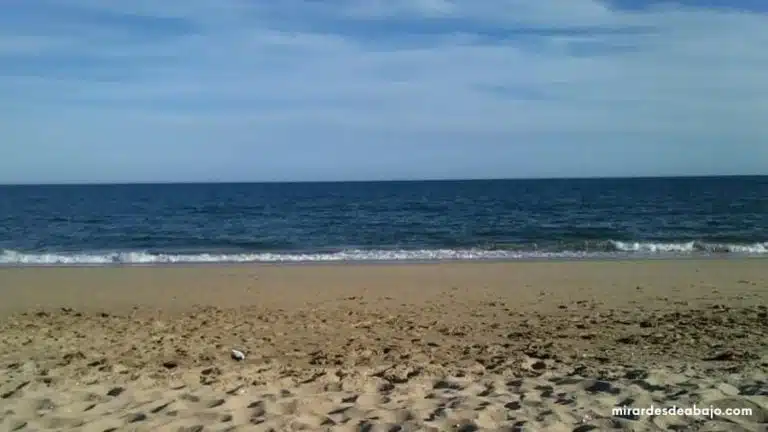 Foto de una playa limpia de basuras y no contaminada.