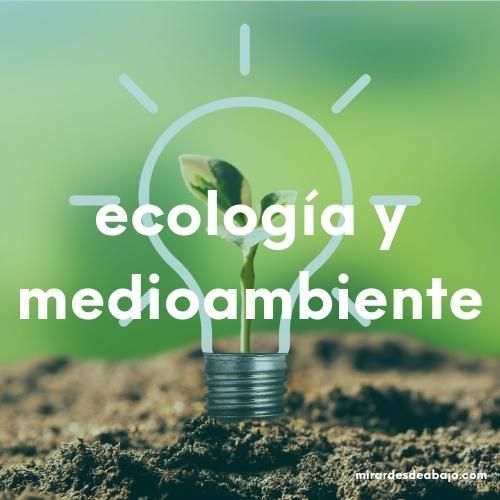 ecologia medioambiente Artículos sobre la ecología y el medio ambiente