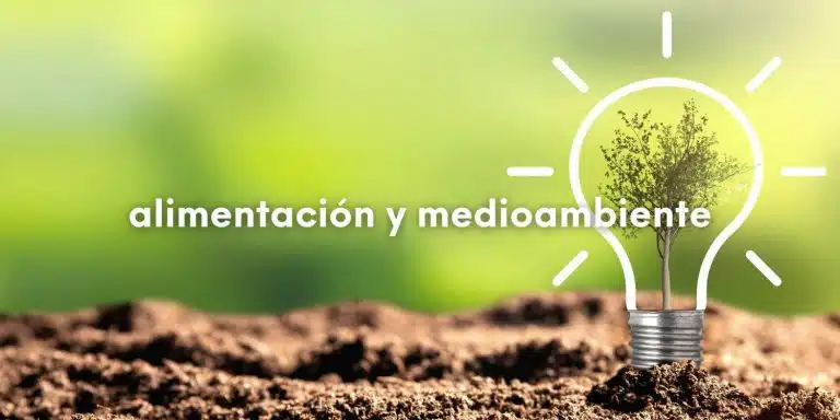 Foto montaje con el dibujo de una bombilla como si estuviera sembrada en el suelo y con el siguiente texto sobre escrito en letras blancas: alimentación y medioambiente. En un artículo que responde esta pregunta: ¿Qué prácticas de producción de alimentos que favorecen el cuidado del medioambiente conoces?