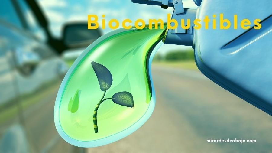 mirardesdeabajo biocombustible Biocombustibles: ¿qué son y cuáles son sus ventajas e inconvenientes?
