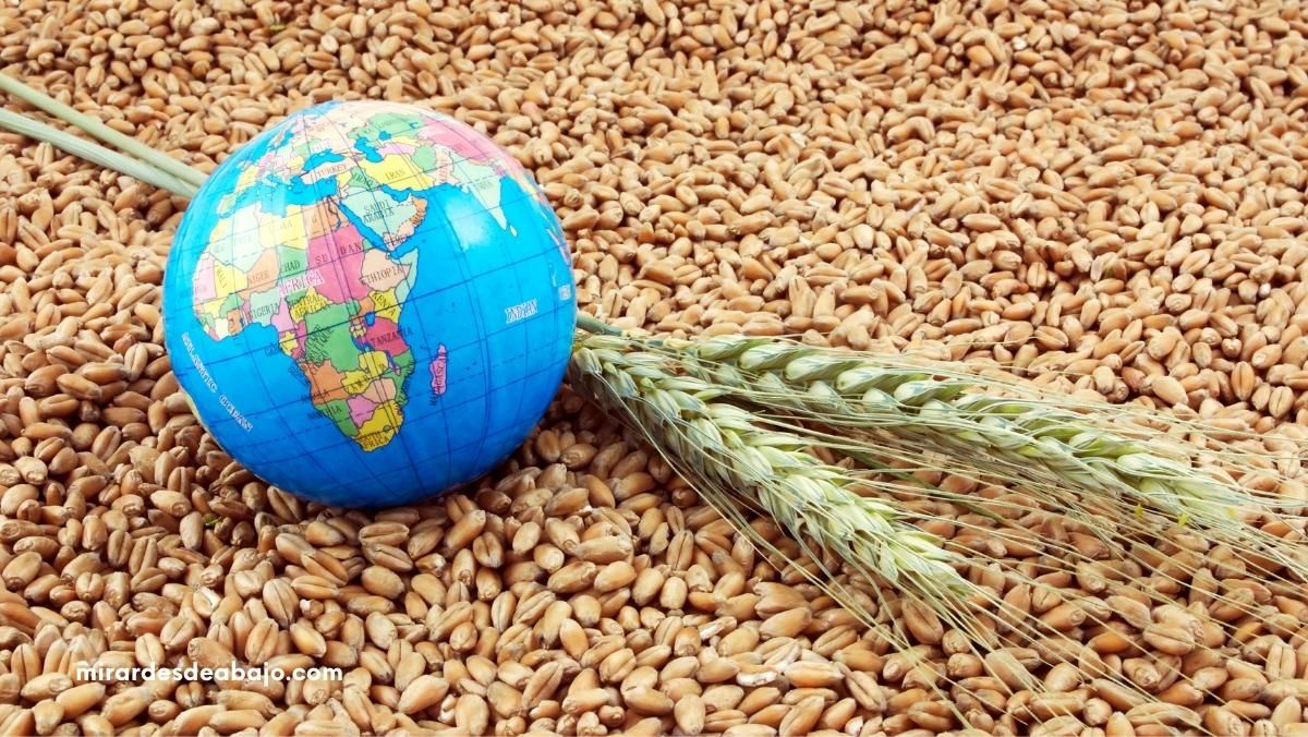 semillas mundo Soberanía alimentaria: ¿Qué es y por qué es importante?