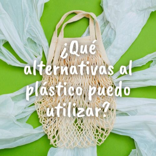 Foto de una bolsa de tela y varias bolsas de plástico de un solo uso sobre un fondo verde con la pregunta sobre impresa en letras de color blanco: ¿Qué alternativas al plástico puedo utilizar?