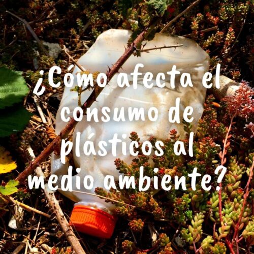 Foto de un bote de plástico tirado en el campo con la pregunta sobre impresa en letras de color blanco:¿Cómo afecta el consumo de plásticos al medio ambiente?