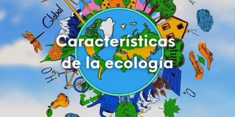 Dibujo del planeta Tierra con casas árboles y más, con la frase sobre escrita: características de la ecología.