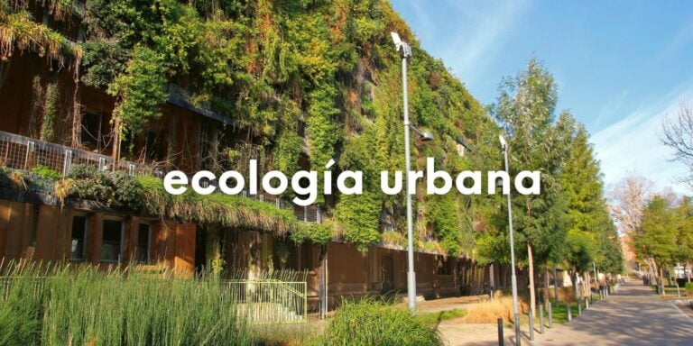 Imagen con una calle arbolada, peatonal y con un edificio de viviendas con la fachada llena de plantas. Lleva sobre impreso en letras de color blanco el texto: ecología urbana.