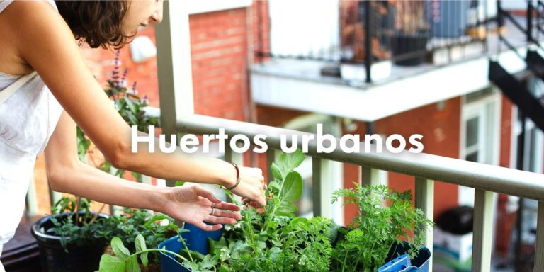 Foto de una mujer cuidando su huerto de ciudad en las macetas de su balcón en un barrio urbano. Lleva sobre impreso el texto: Huertos urbanos.