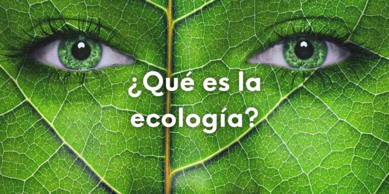 ¿Qué estudia la ecología? ¿Qué es la ecología? Descubre la ciencia que estudia las interacciones entre seres vivos y su entorno