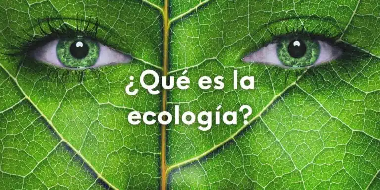 Imagen con un rostro en primerísimo plano pero la piel es como una hoja verde y con unos grandes ojos también verde. Lleva sobre escrita la pregunta: ¿Qué es la ecología? En referencia a la definición y a qué estudia la ecología.