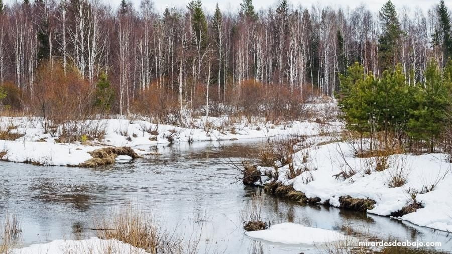 Foto de un paisaje nevado con un río en la parte central.