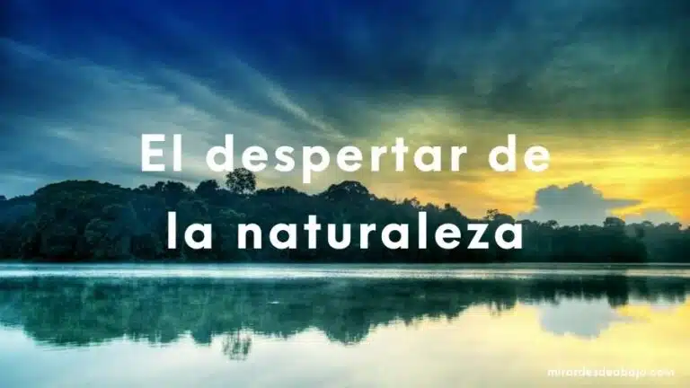 Foto de un paisaje espectacular al amanecer con el texto sobre escrito en letras de color blanco: El despertar de la naturaleza.