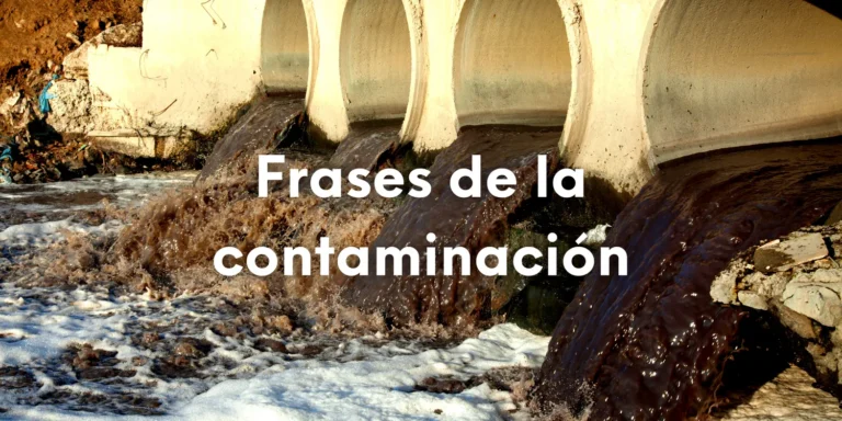 Foto de unas grandes cañerías vertiendo agua contaminada a un río con el texto sobre impreso: Frases de la contaminación.