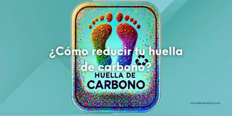 ¿Cómo reducir tu huella de carbono? Pasos sencillos para un hogar sostenible