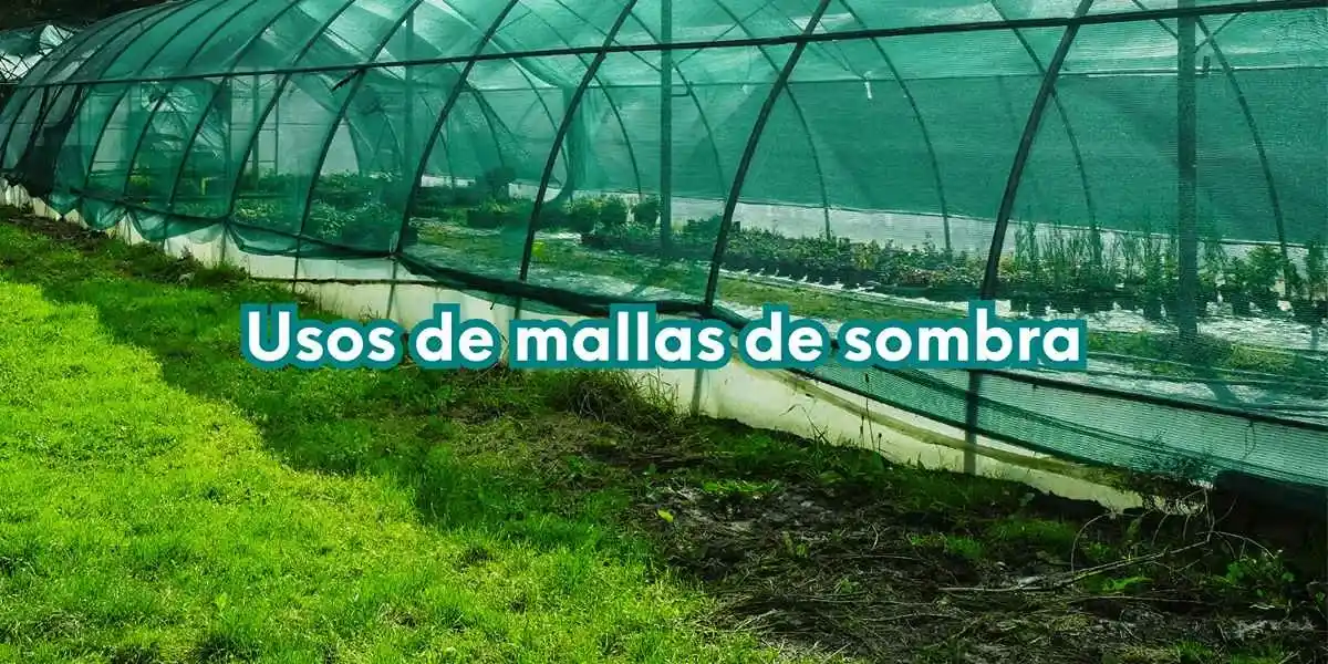 ¿Cómo cuidar los cultivos con mallas de sombreo? ¿El sol aprieta y tus plantas lo sufren?
Descubre cómo una simple malla de sombreo puede convertirse en tu mejor aliada para proteger tu huerto y hacerlo florecer, incluso en los días más duros.
Aquí tienes una guía práctica para usarla sin complicaciones. mallas sombra ¿Cómo cuidar los cultivos con mallas de sombreo?
